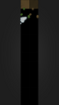 Thumbnail for version as of 23:00, 16 April 2026
